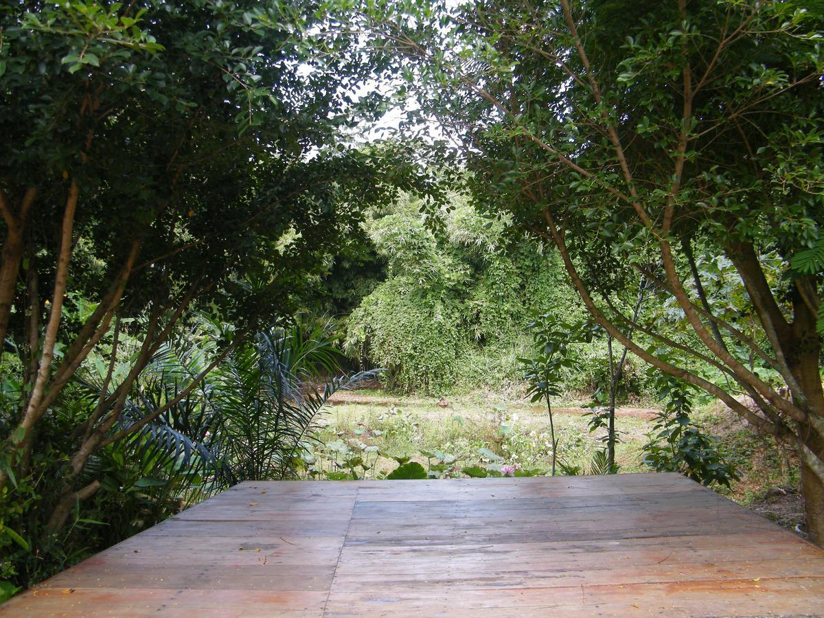 Ban Tha Sai Ya Teng Homestay מראה חיצוני תמונה
