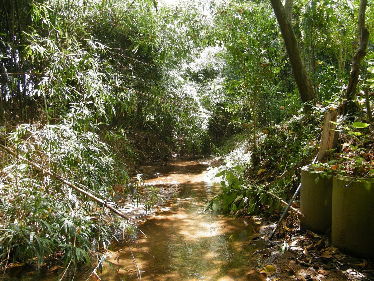 Ban Tha Sai Ya Teng Homestay מראה חיצוני תמונה